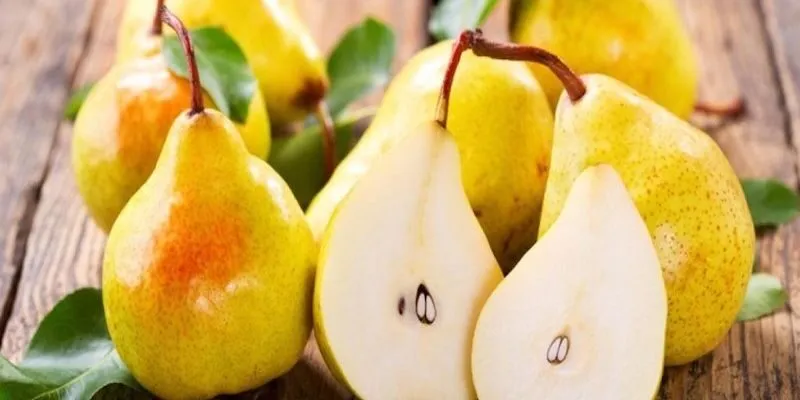 Công dụng dưỡng sinh của trái lê